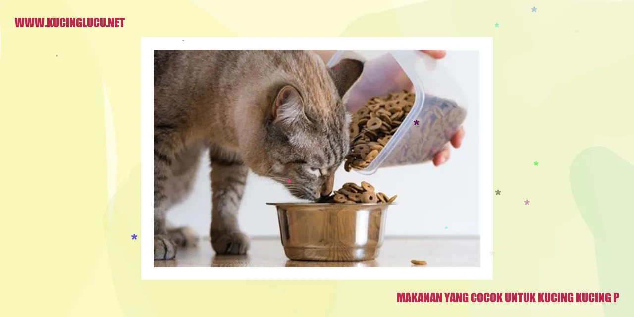 Makanan cocok untuk kucing
