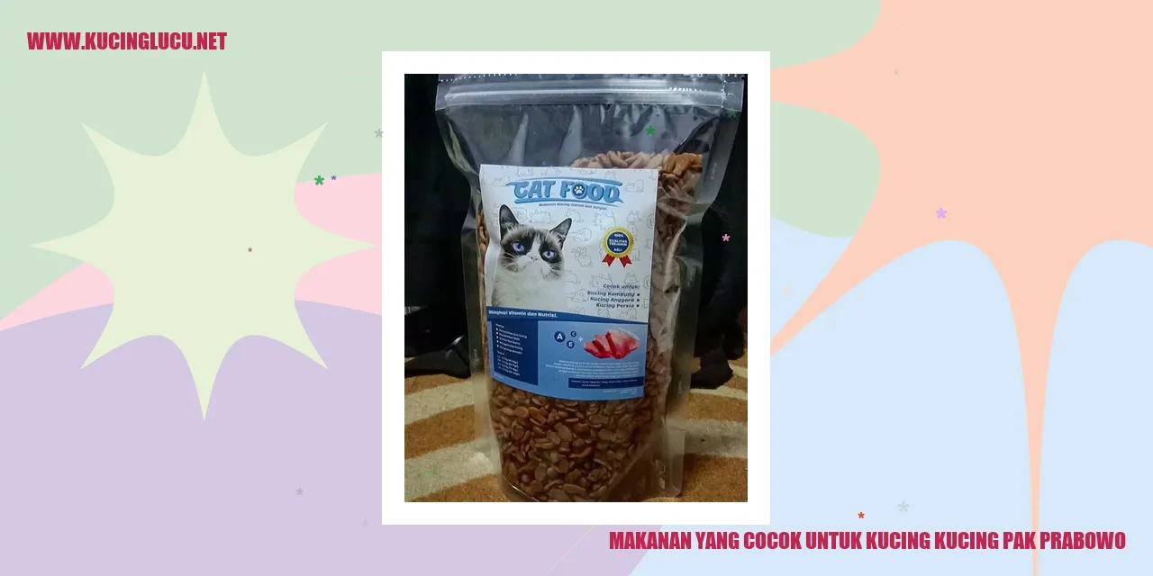 Gambaran tentang Makanan yang Sesuai untuk Kucing-kucing Pak Prabowo