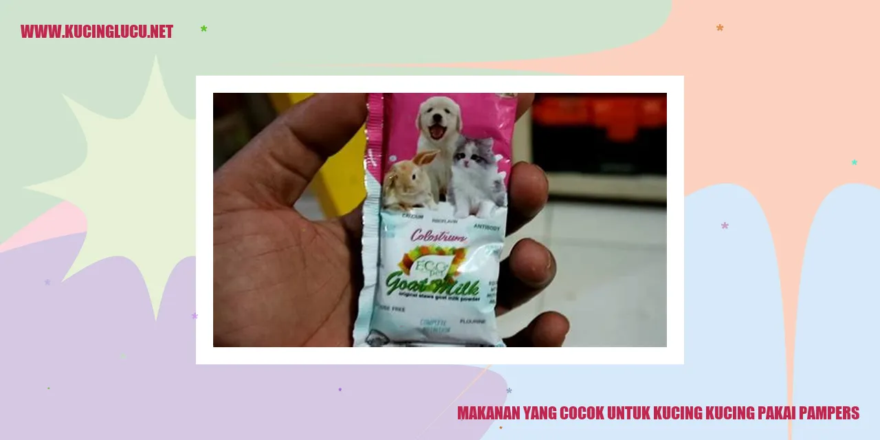 Makanan yang Cocok untuk Kucing