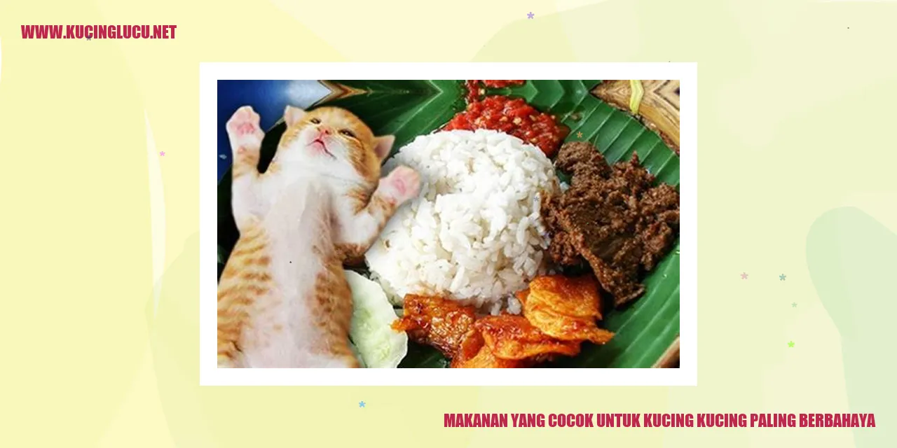 Makanan yang Cocok untuk Kucing