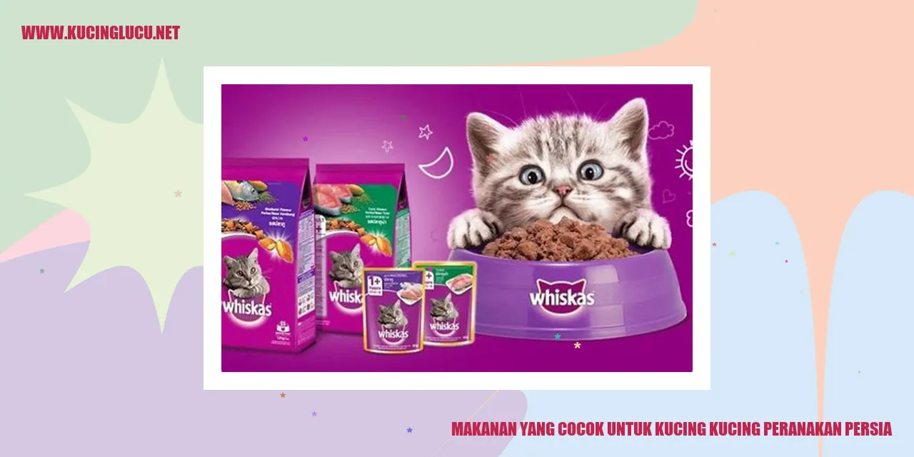 gambar kucing Peranakan Persia