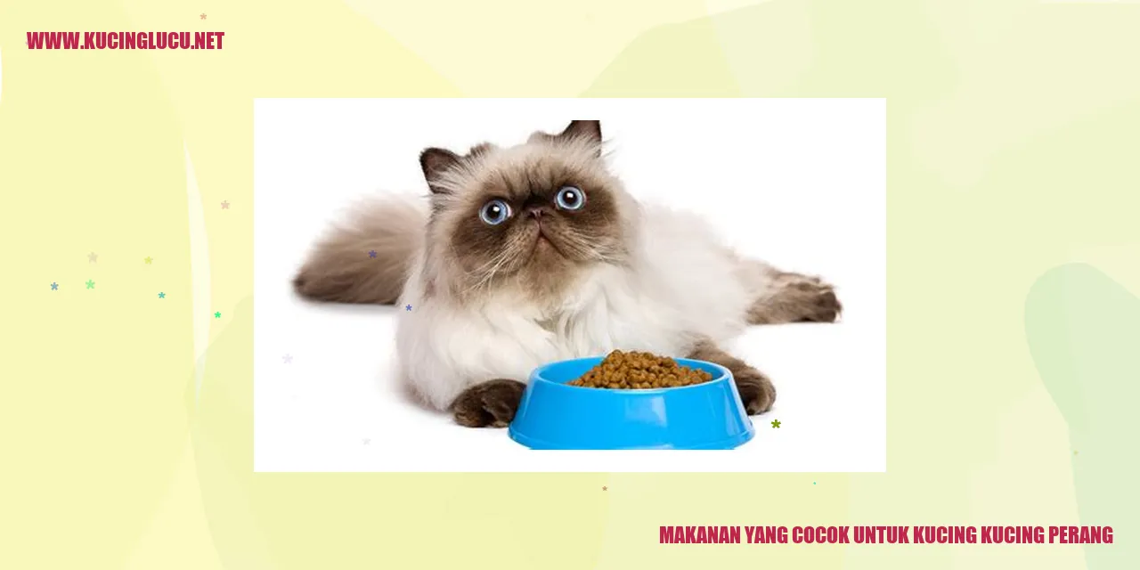 Gambar Kucing Ganas