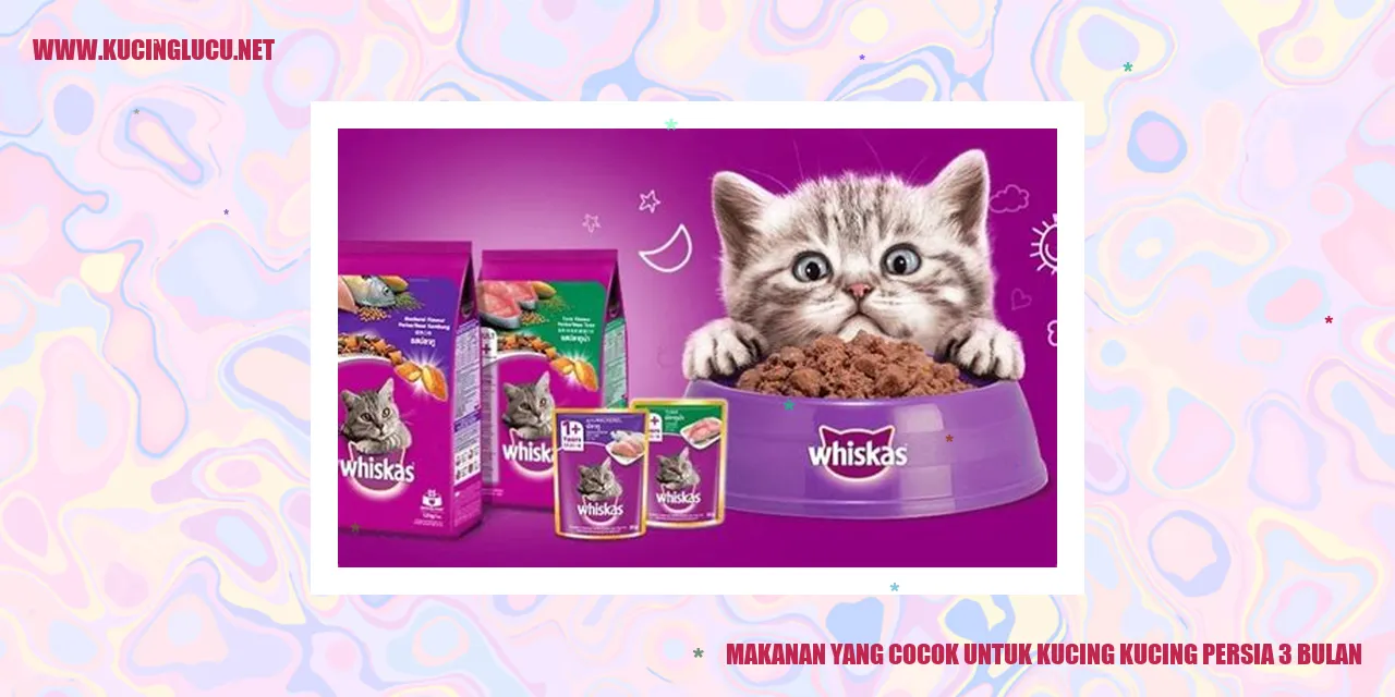Makanan yang Cocok untuk Kucing Persia 3 Bulan
