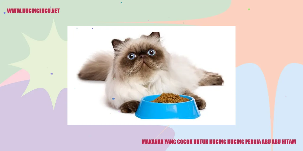 Gambar Kucing Persia Abu Abu Hitam