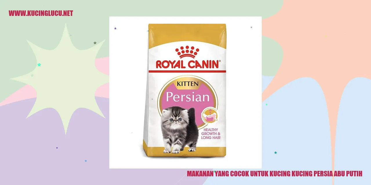 Gambar Kucing Persia Abu Putih