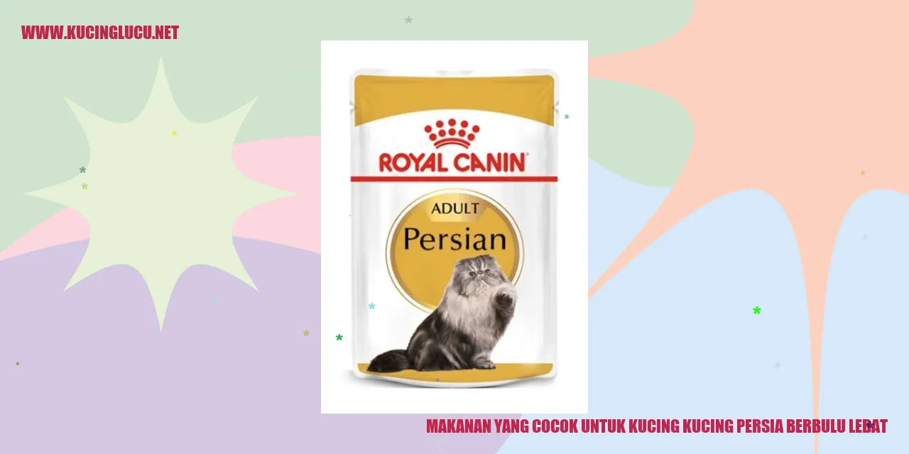 Kucing Persia Berbulu Lebat