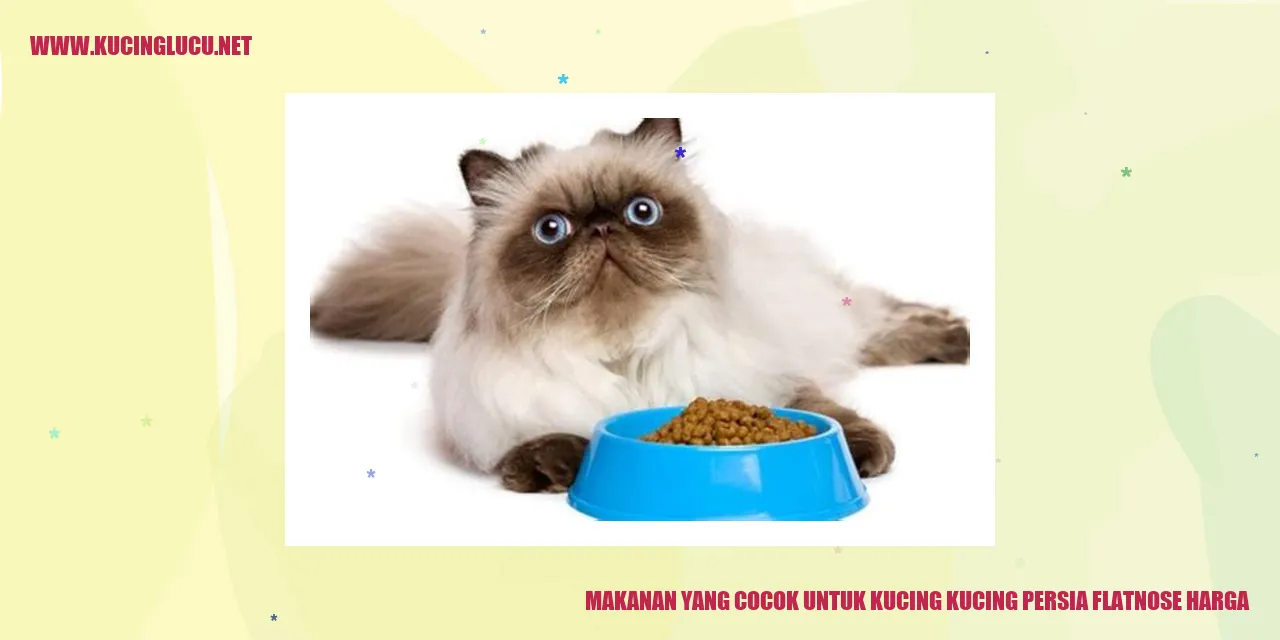 Makanan untuk Kucing Persia Flatnose
