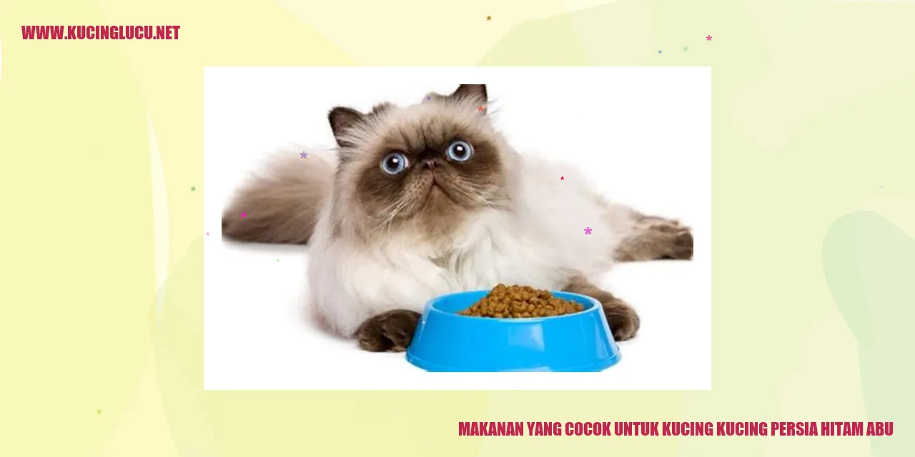 Makanan Kucing Persia Hitam Abu