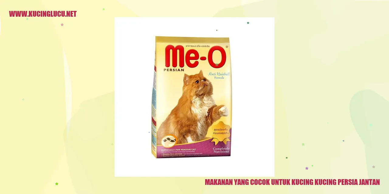 Makanan Kucing Persia