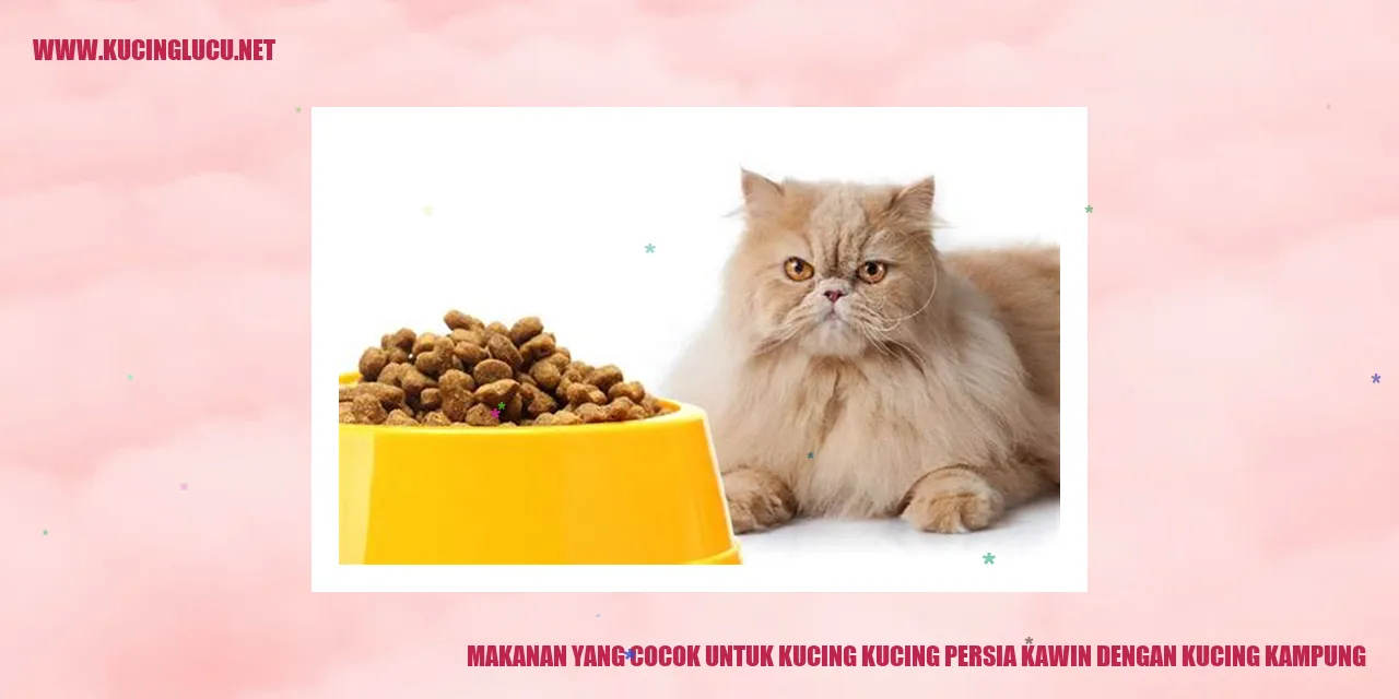 Gambar Makanan Kucing