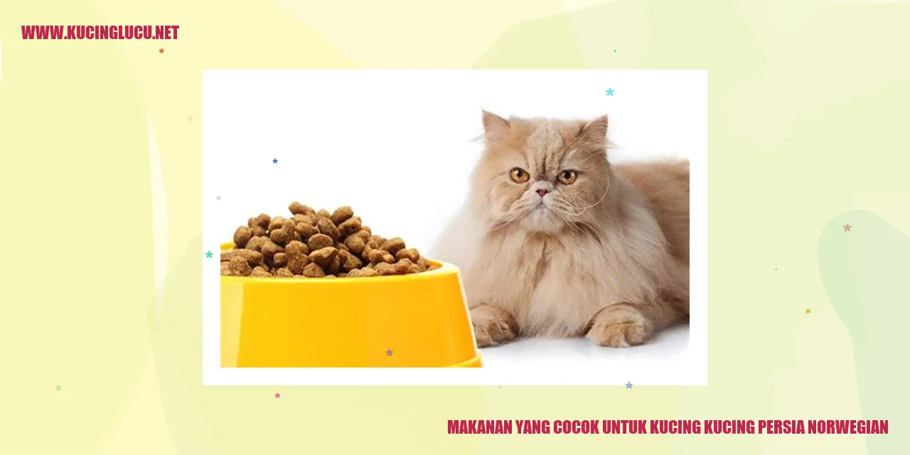 Makanan untuk Kucing Persia dan Norwegian