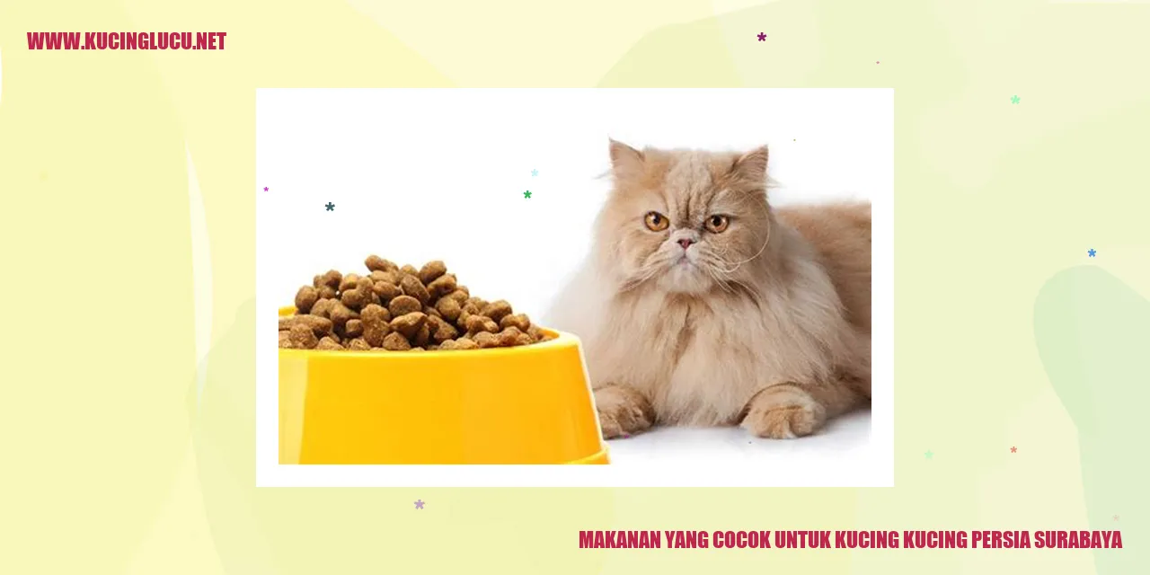 makanan kucing persia