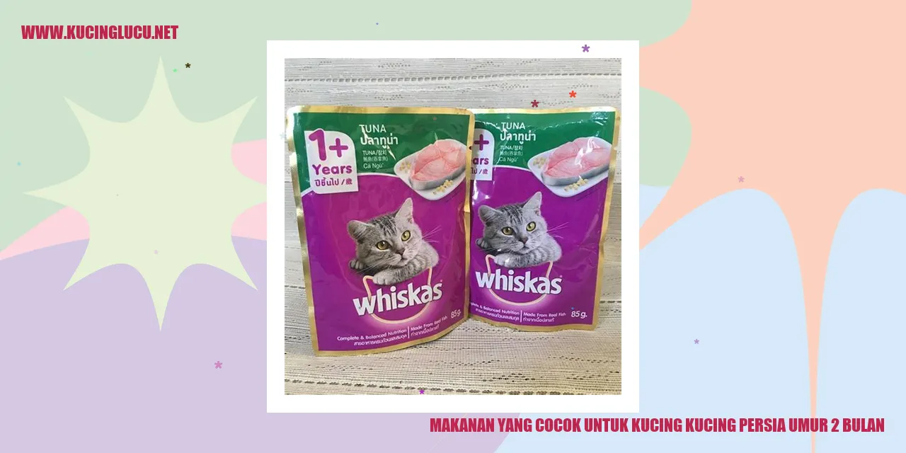 Makanan untuk Kucing Persia Umur 2 Bulan