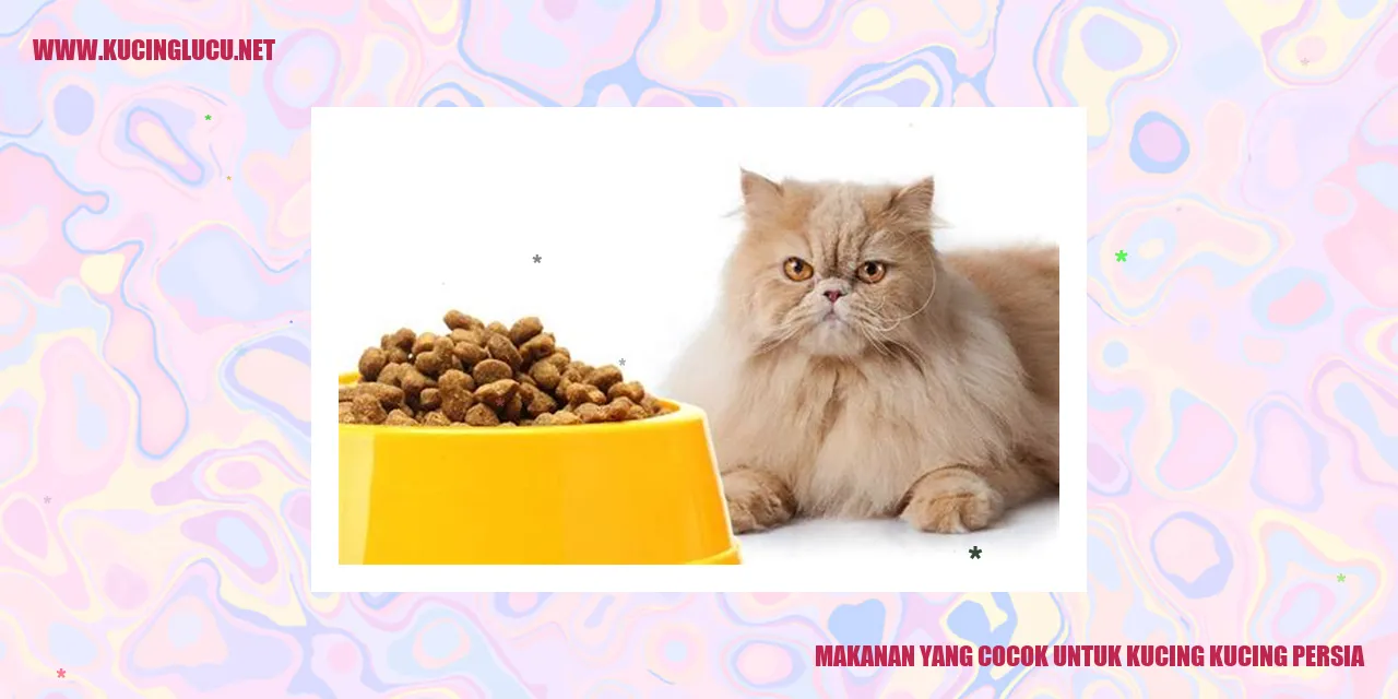 Gambar Makanan untuk Kucing Persia
