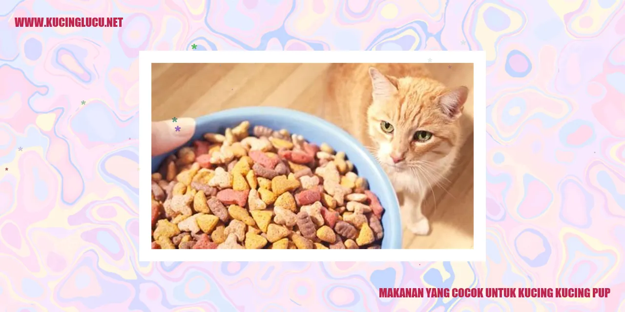 Gambar kucing makan