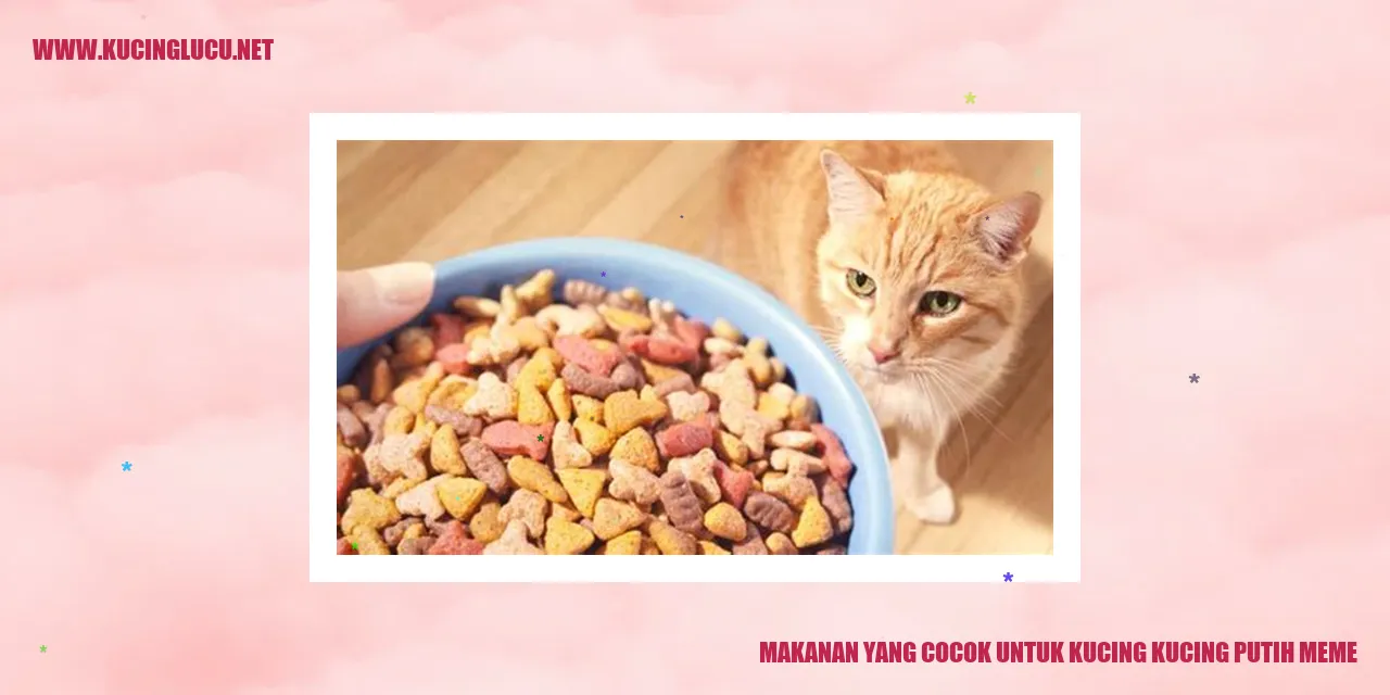 Meme Kucing Putih