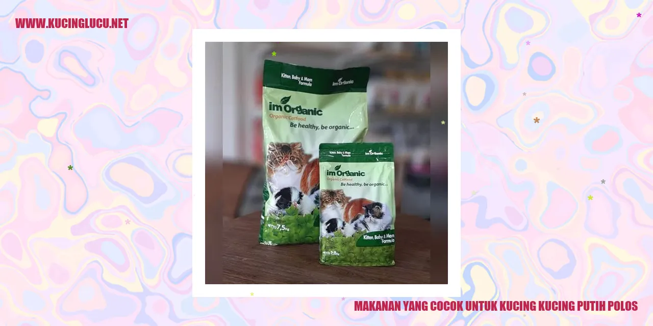 Gambar Kucing Putih Polos