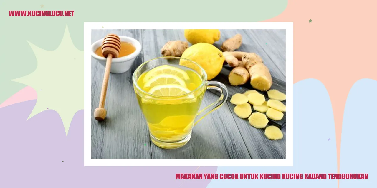 Makanan yang Tepat untuk Kucing yang Terkena Radang Tenggorokan
