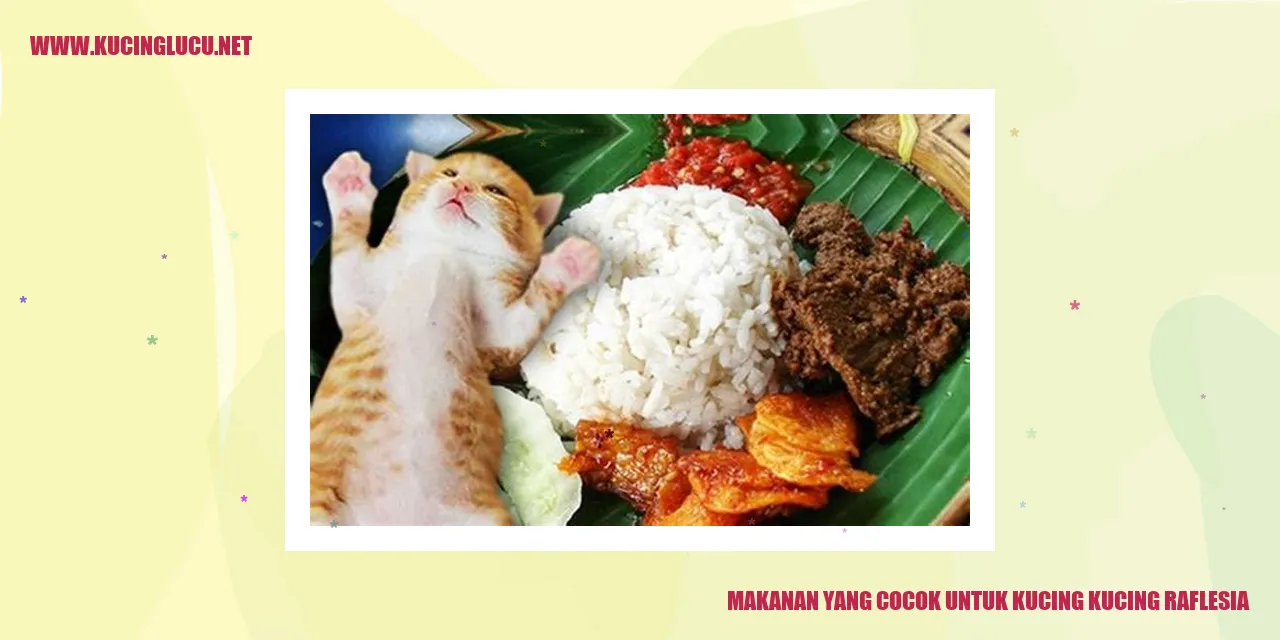 Gambar Kucing Raflesia