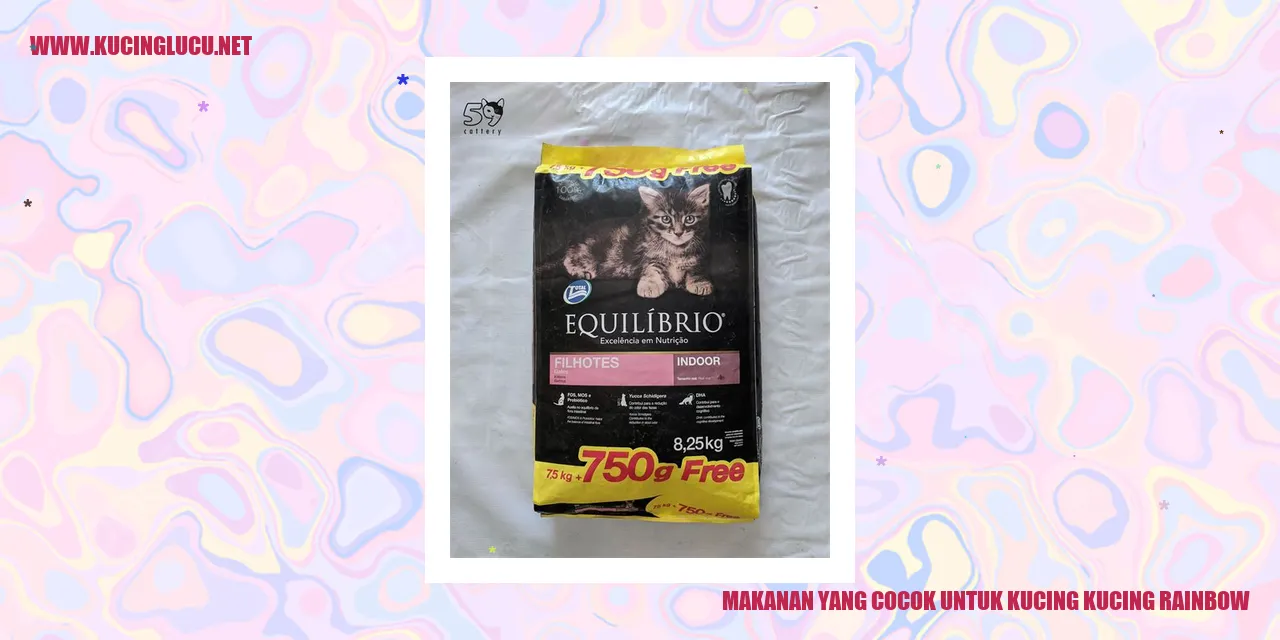 gambar kucing rainbow