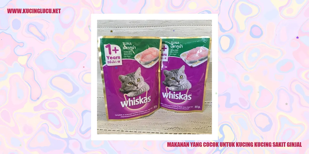 Makanan untuk Kucing Sakit Ginjal