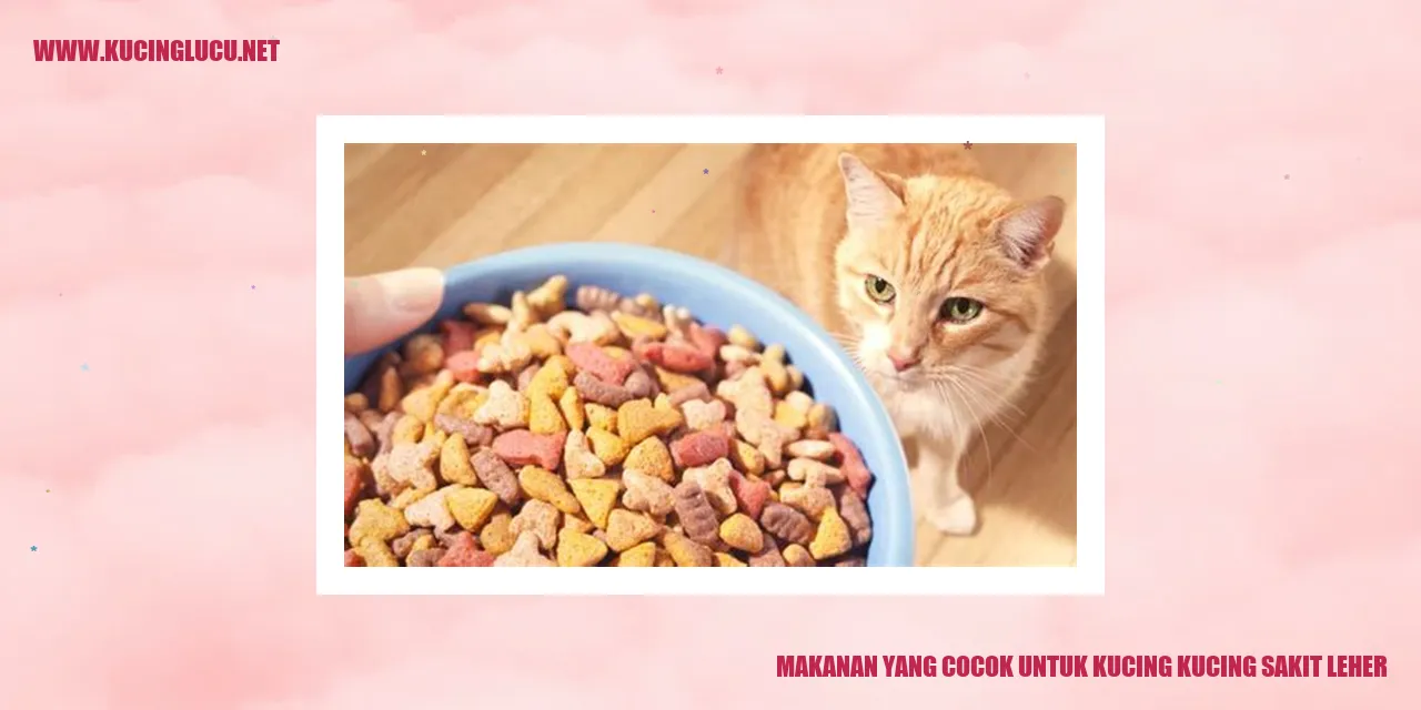 Makanan yang Cocok untuk Kucing dengan Sakit Leher