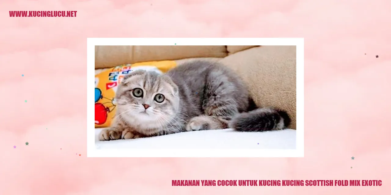 makanan kucing