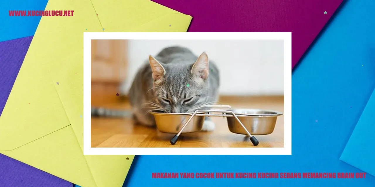 Gambar Kucing Lucu