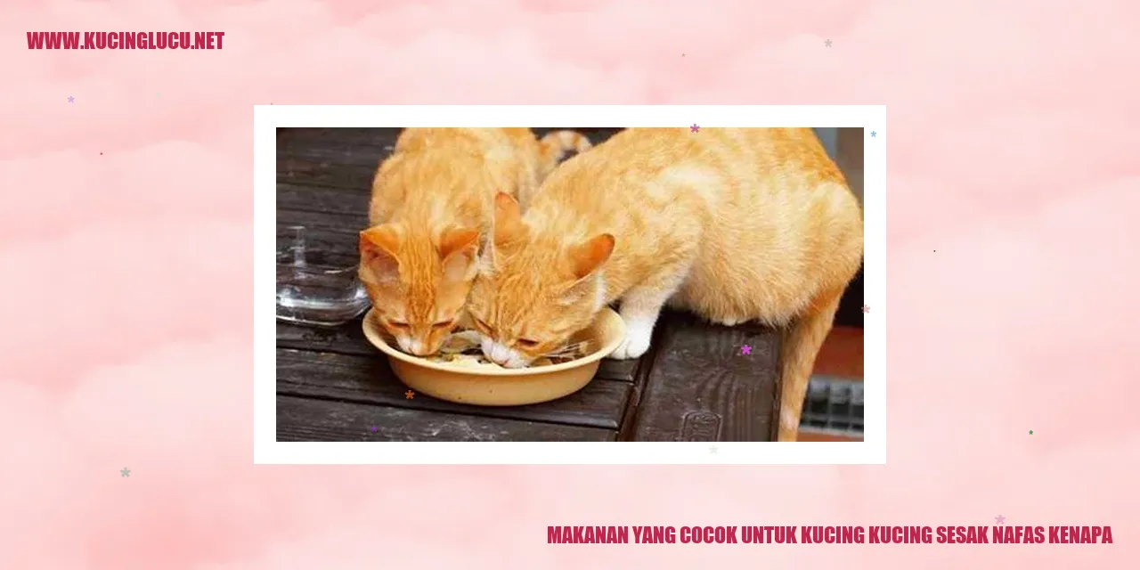 Makanan untuk Kucing Sesak Nafas