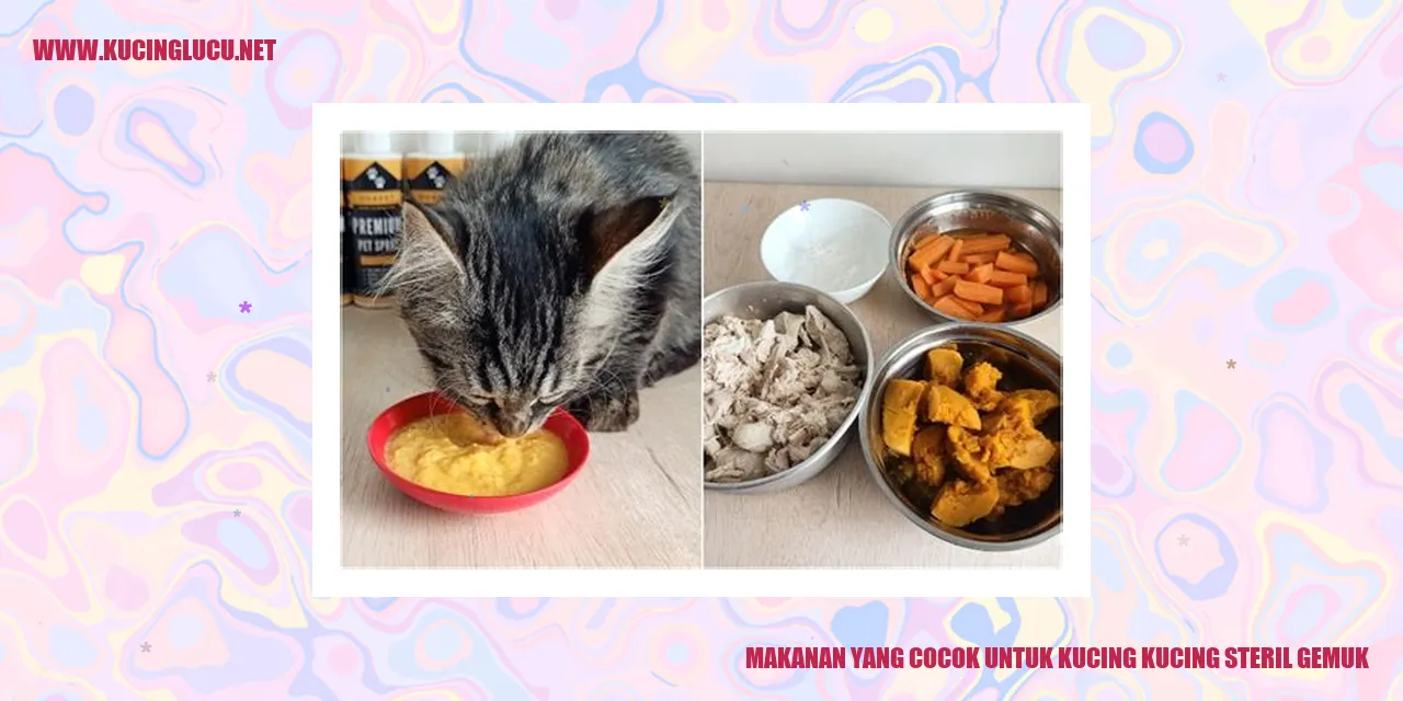 Kucing yang steril dan gemuk