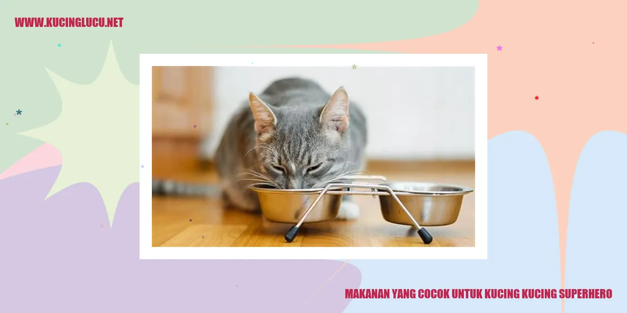 Gambar Kucing Pahlawan