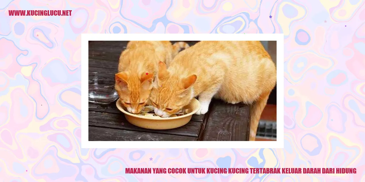gambar makanan kucing