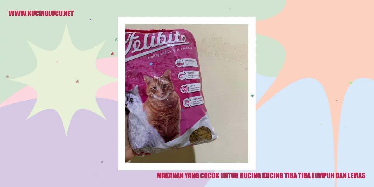 Makanan Untuk Kucing yang Mendadak Lumpuh dan Lemas