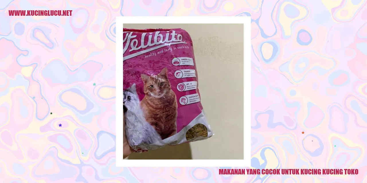 Makanan yang Cocok untuk Kucing
