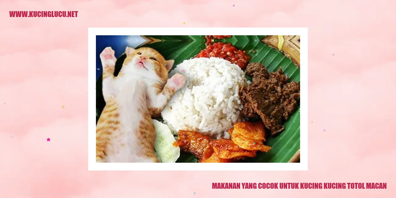 Makanan yang Sesuai untuk Kucing