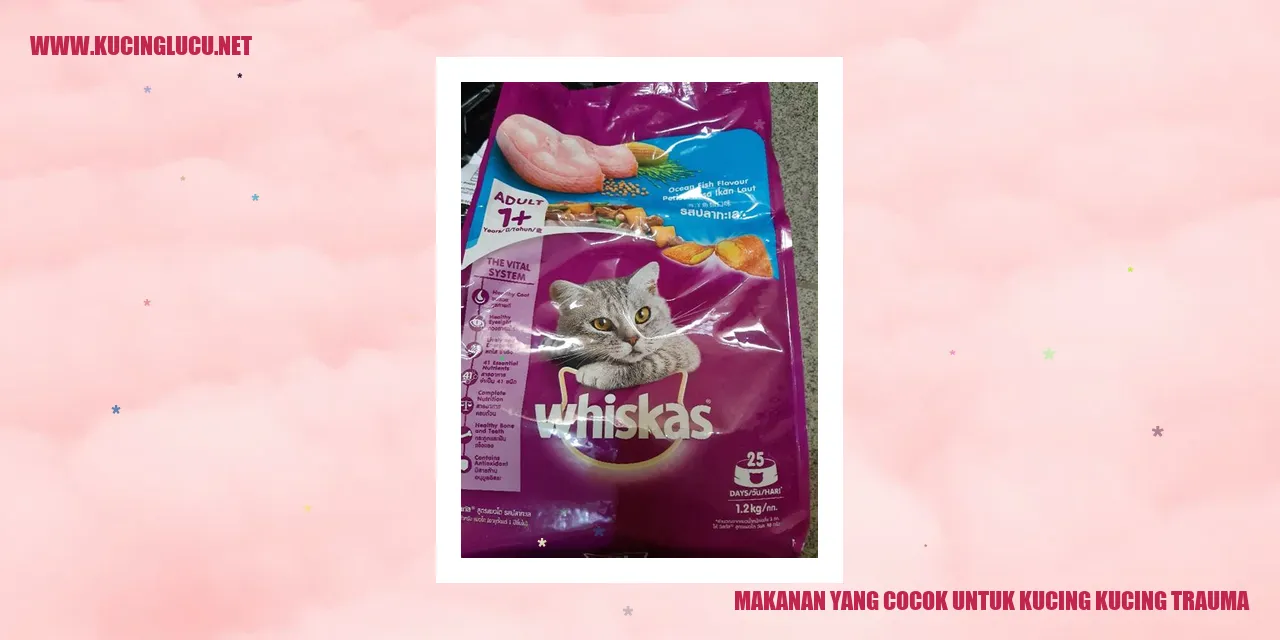Gambar Makanan untuk Kucing-kucing yang Mengalami Trauma