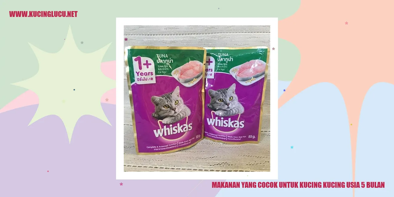 Makanan untuk Kucing Kucing Usia 5 Bulan