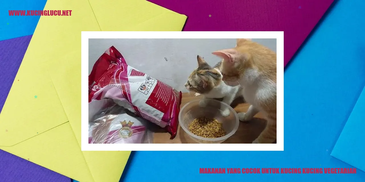 gambar kucing vegetarian