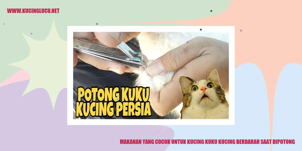 Gambar kucing