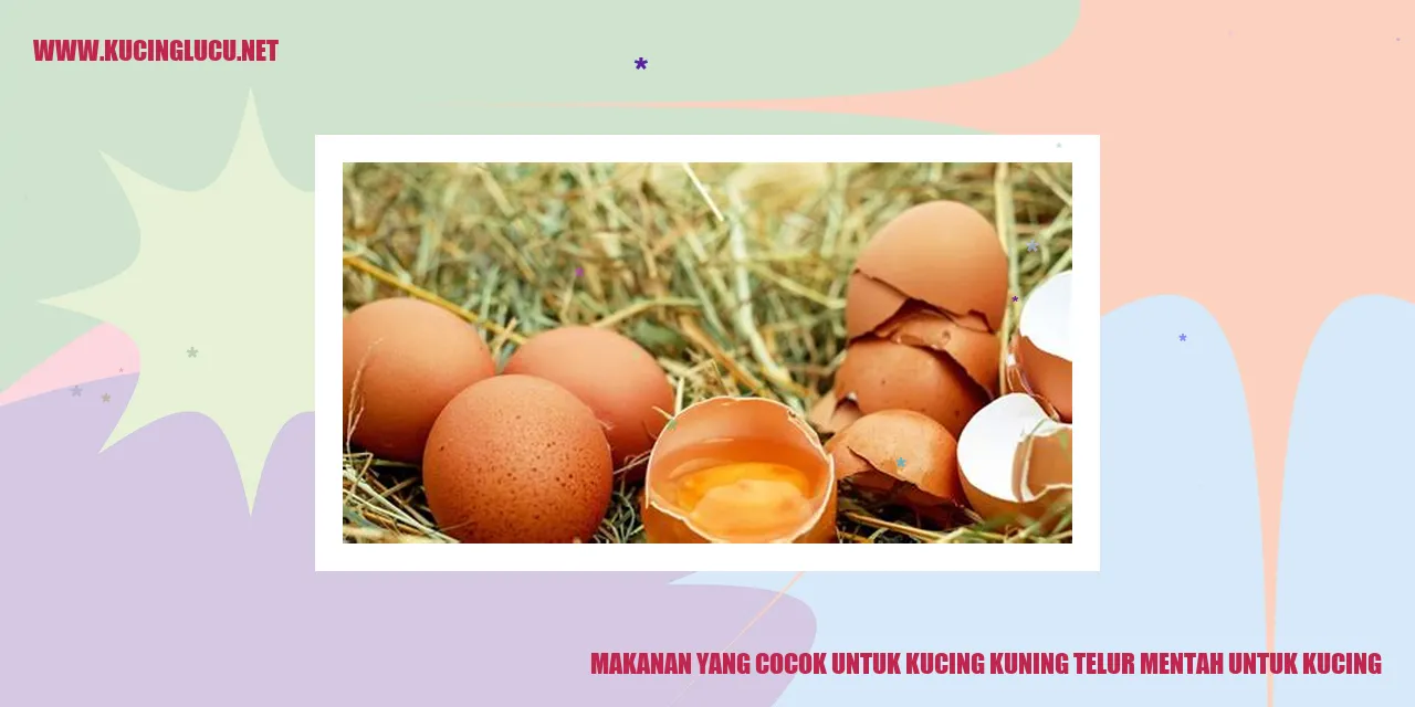 Kucing menikmati telur mentah