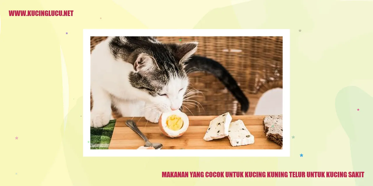 Makanan yang Cocok untuk Kucing