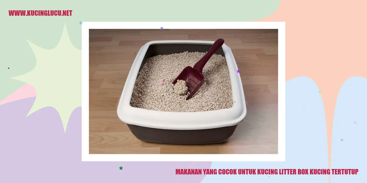 Makanan yang Cocok untuk Kucing litter box kucing tertutup