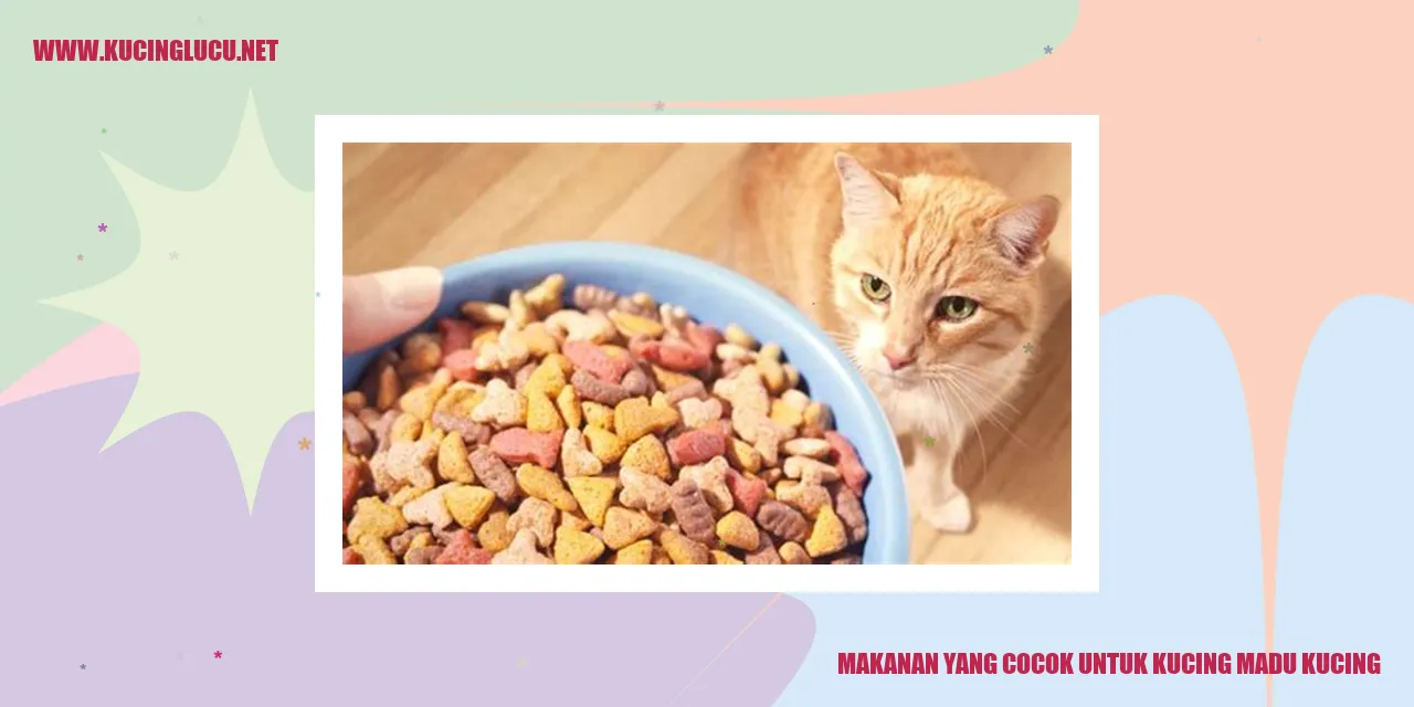 Makanan yang Cocok untuk Kucing madu kucing