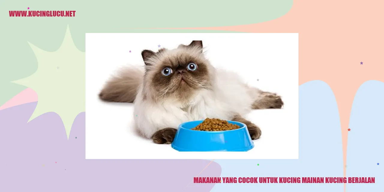 gambar kucing mainan berjalan