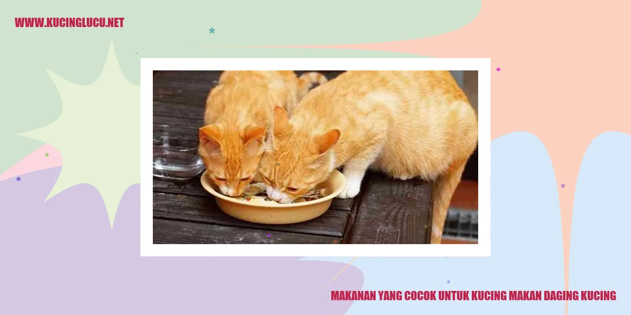 Makanan yang Cocok untuk Kucing makan daging kucing