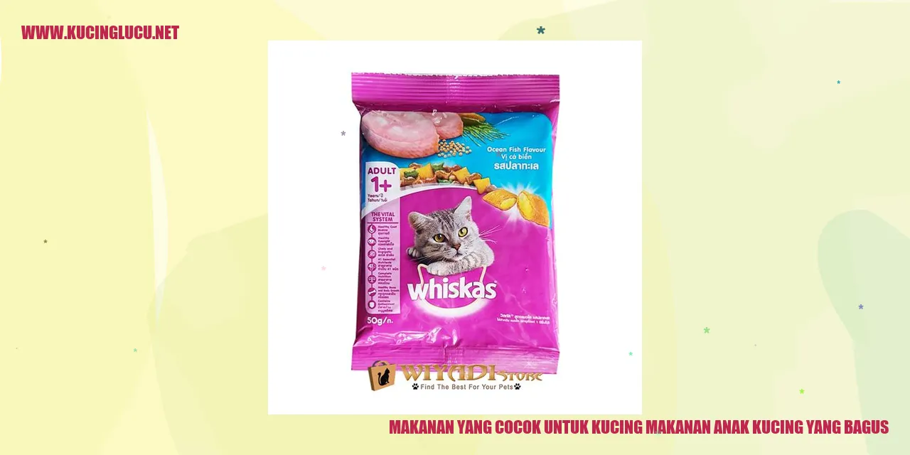 Makanan yang Cocok untuk Kucing