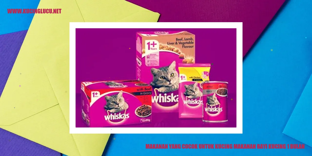 Makanan Kucing Bayi