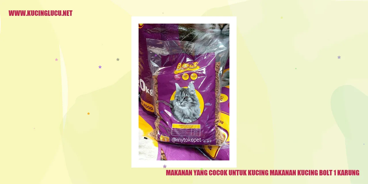 Makanan yang Cocok untuk Kucing