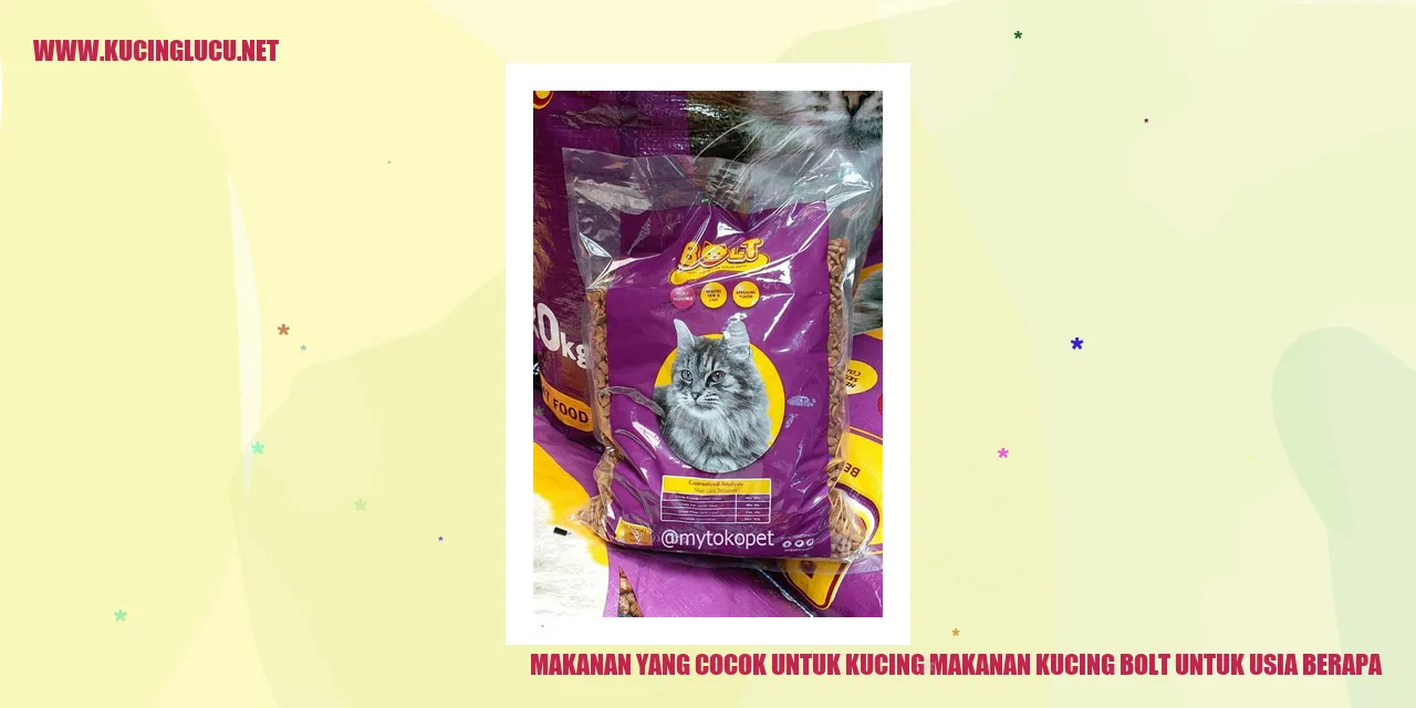 Makanan Kucing