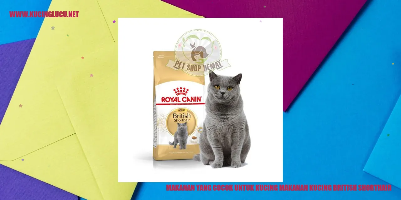makanan kucing british shorthair